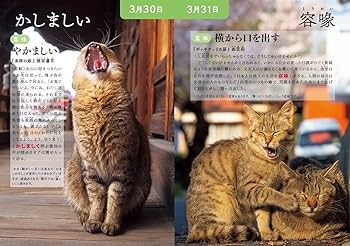 たにゃ たにゃ (@kabukinoraneko) / X